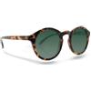WONDER COMPANY SRL OCCHIALE SOLE UOMO LEONARDO