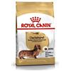 ROYAL CANIN CANE DACHSHUND ADULT 1,5 KG