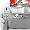 Byour3 - Copriletto in Cotone Misto ORGANICO Matrimoniale Letto Singolo Piazza e Mezza Coperta Pesante Lavabile Teli Arredo Multiuso Copritutto GrandFoulard Copridivano (Acciaio, Singolo)