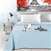 Byour3 - Copriletto in Cotone Misto ORGANICO Matrimoniale Letto Singolo Piazza e Mezza Coperta Pesante Lavabile Teli Arredo Multiuso Copritutto GrandFoulard Copridivano (Avio, Singolo)