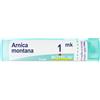 Boiron Arnica Montana Mk Diluizione Korsakoviana In Granuli
