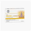 Unifarco Linea Farmacisti Preparatori MucoFlu Aerosol 10 fiale