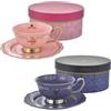 Disney Store Giappone Set tazza da tè e piattino Disney Store Japan Princess Aurora Malefica e Diablo
