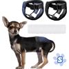 JUNUNDJING 2 Pezzi Pannolini per Cani Femmina Cane Femmina, Mutande per Calore Cani, Mutandine Cane Femmina Calore, con 8 Assorbenti, Riutilizzabile Lavabile, S