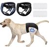 JUNUNDJING 2 Pezzi Pannolini per Cani Femmina Cane Femmina, Mutande per Calore Cani, Mutandine Cane Femmina Calore, con 8 Assorbenti, Riutilizzabile Lavabile, XL