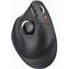 ProtoArc Mouse Bluetooth Trackball Verticale, EM05 NL Mouse Wireless Ergonomico Ricaricabile (Bluetooth+Bluetooth+2.4G), Controllo Pollice, Compatibile con iPad, Mac, Windows, PC - Nero