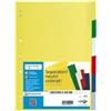 SEI ROTA Separatore Record S - 6 tasti - PP - 15 x 21 cm - A5 - multicolore - Sei Rota (unità vendita 1 pz.)