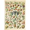 MyPuzzle.com MyPuzzle Fructus - Frutti Per Tutti, Poster D'epoca, Adolphe Millot - Premium 500 Pezzi Puzzle - MyPuzzle Collezione speciale di Havana Puzzle Company
