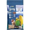 Croci Sandy con Grit 5 kg - Sabbia Igienica per Volatili, profumata all'Anice, con Gusci di Ostrica e Carbonato di Calcio - Favorisce la Digestione, Assorbe Odori, per Canarini, Pappagalli, Esotici