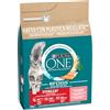 Purina ONE Bifensis Crocchette Gatto Sterilizzato Salmone, Sacco da 2,8kg