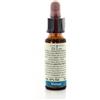 LABORATORIO ERBORISTICO DI LEO Di Leo Fiori Di Bach Walnut Integratore Alimentare 10ml