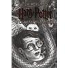 SALANI Harry Potter e la pietra filosofale. Nuova ediz. (Vol. 1)