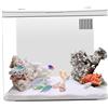Liummrcy Serbello di pesce rosso, serbatoio di pesce 1,3 galloni kit di starter per acquario piccolo con filtro a 3 strati ＆ luce a LED, serbatoio del pesce desktop con di auto -pulizia decorazione p
