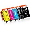 Clywenss 202 XL Compatibile con Epson 202 202XL Cartucce d'inchiostro Multipack, per for Expression Premium XP-6000 XP-6005 XP-6100 XP-6105 Stampante (1Nero 1Foto Nero 1Ciano 1Magenta 1 Giallo)