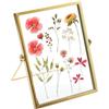 TNSLAND Cornice dorata 15x20 cm vetro fiori pressati secchi dipinti foto