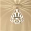 iDEGU Plafoniera Vintage Industriale Lampadario in Ferro a Gabbia Paralume Lampada da Soffitto E27 Retrò illuminazione Decorativa per Camera Ingresso Corridoio Bar Ristorante, 20 cm (Bianco)