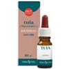 ERBA VITA GROUP SPA Tuia Olio Essenziale 10 Ml