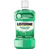 JOHNSON & JOHNSON SpA Listerine Difesa Denti e Gengive Collutorio - Ideale per l'igiene orale quotidiana - Gusto Menta fresca - 250 ml