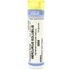 Mercurius solub 200k gr - CEMON - 800700484