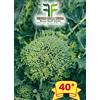 Tesoro della Terra Cima di Rapa o Broccoletto 40° sel. Fasano Cima Grande