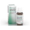 BIOLOGISCHE HEILM. HEEL GMBH COLOCYNTHIS HOMACCORD GTT 30ML