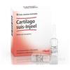 Heel Cartilago Suis Injeel 10 Fiale