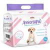 Record Assorbipiù pannolini usa e getta per cani unisex extra assorbenza. Pannolini cane con fascia elastica addominale. Confezione 12 pezzi. Taglia XL, circonferenza fino a 80cm. Cani taglia grande