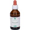 Betula Sangalli Betula Pubescens Macerato Glicerico 100 Ml ml Gocce orali