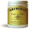 Dr Giorgini Artrovis polvere - 360 g