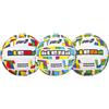 SportOne PALLONE BEACH VOLLEY `BLEND` in cuoio sintetico cucito, misura 5
