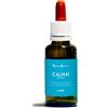 NATUR Srl Calma ansia natur mix 30 ml - NATUR - 927493179