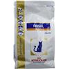 Royal Canin Cibo Secco per Gatti Controllo Renal Select - 500 gr