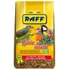 RAFF Pate' con Insetti 400 GR con Frutta E Bacche per Uccelli INSETTIVORI A Becco FINE