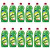 Svelto Set 12 SVELTO Piatti Lt 1 Limone Detersivi E Pulizia della Casa