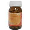ALGILIFE SRLS BETACAROTENE PLUS 45 CAPSULE