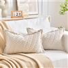 LRartdeco Federe Cuscini Divano 30x50 Beige in Velluto a Coste 2 Pezzi con Cerniera Invisibile Copricuscini Quadrati Elegante Decorativa per Salotto Moderno Cuscino per Camera da Letto Set