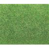 Faller 180755 - Tappeto erboso, 1000 x 2500 mm, Colore: Verde