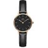 Daniel Wellington Petite Orologi 24mm Double Plated Stainless Steel (316L) Rose Gold