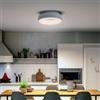 Alpinaluz Plafoniera LED da 28 W Ø30 cm con Selettore Colore CCT Bianco Caldo/Neutro/Freddo, Design rotondo Metallo Bianco e Luce Laterale CRI85, per Soffitto Sala da Pranzo