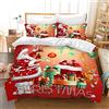 AVJWWD Set di biancheria da letto natalizia,Microfibra Copripiumino con Babbo Natale e alce motivo,decorazione natalizia, set regalo per ragazzi e ragazze (Regalo di Natale, 220 x 240 cm)