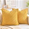 LRartdeco Federe Cuscini Divano 45x45 Cuscini Decorativi Moderno Giallo in Velluto a Coste Quadrati Elegante Decorativa per Salotto Moderno Cuscino Cerniera Invisibile per ufficio Camera da Letto Set 2 Pezzi