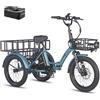 Fafrees F20 Mate bicicletta triciclo freni a disco idraulici batteria 18,2 Ah/873,6 Wh, bici elettrica da uomo 25 km/h, bici elettrica a 3 ruote, bici elettrica da donna 20 pollici (blu)