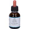 Herboplanet Srl Tsa Solidago Virgaurea Gocce 50 ml orali