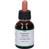 Herboplanet Srl Tsa Rosmarinus Officinalis Gocce 50 ml