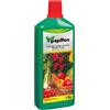 Papillon 8025003- Sangue Di Bue Liquido