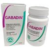 DOC GENERICI SRL Gabadin 30 Compresse