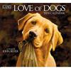 LANG Love Of Dogs 2024 Calendario da parete (24991001927)