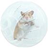 XIAOXIAOYU Palline da jogging, per criceti, per esercizi di piccola taglia, per piccoli animali, per il vostro animale domestico Xiaoxiaoyu