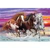 Schmidt Spiele Wildes 56356 - Puzzle per bambini, 200 pezzi, multicolore