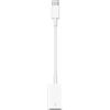 Apple Adattatore da USB‑C a USB